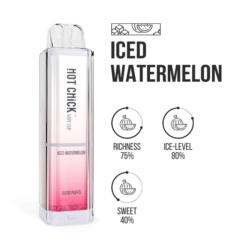 HOT CHICK辣妹6000口一次性爆款（typeC充电）